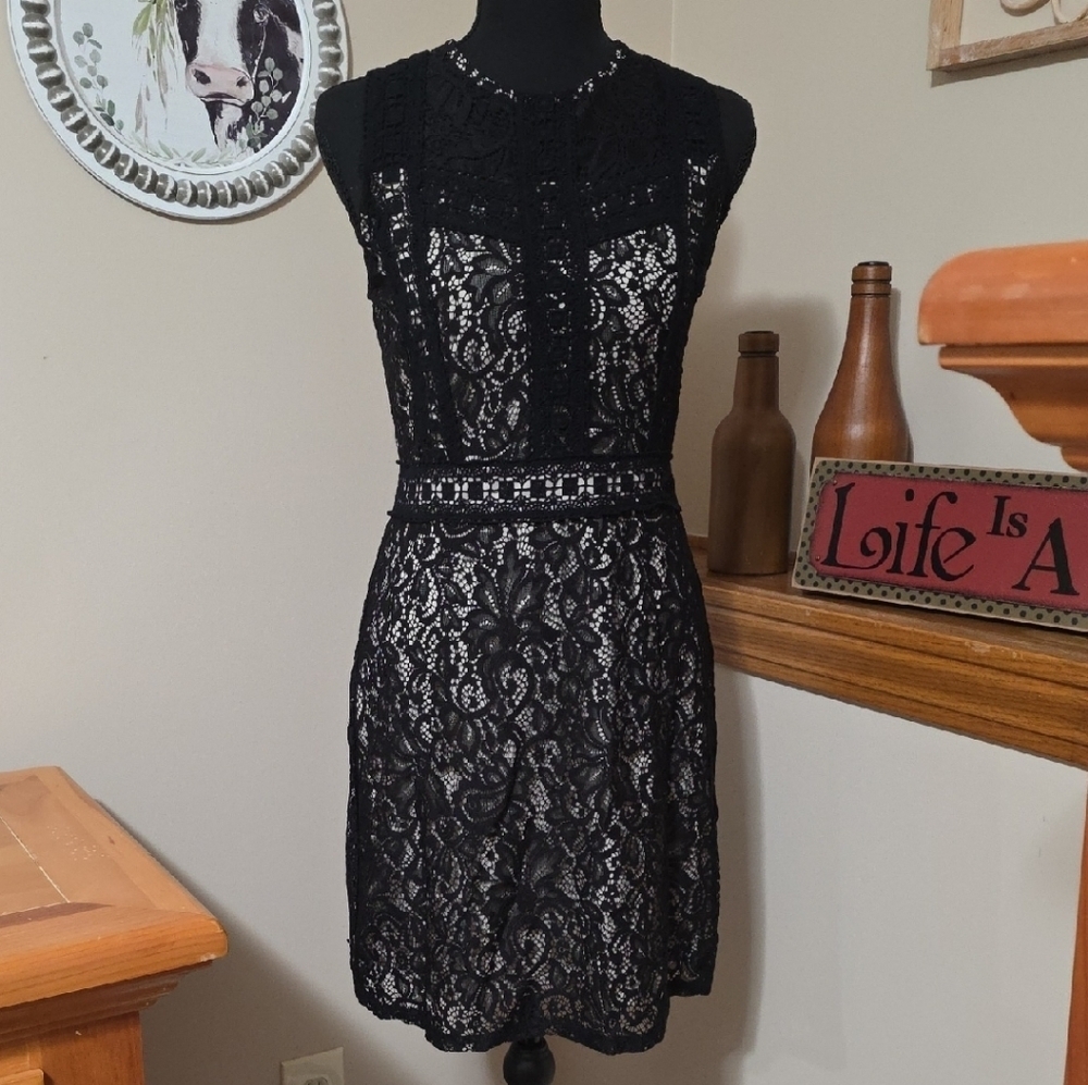 Chic Black Lace Mini Dress